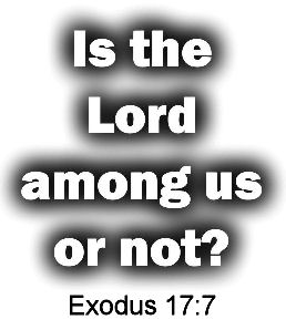 Is the Lord among us?