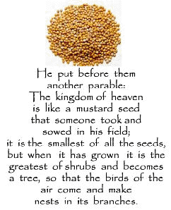 mustard seed faith
