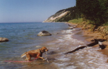 abby.jpg (24057 bytes)