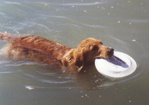 abby2.jpg (20591 bytes)