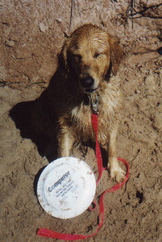 abby3.jpg (41473 bytes)