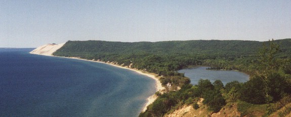 thebear.jpg (35622 bytes)